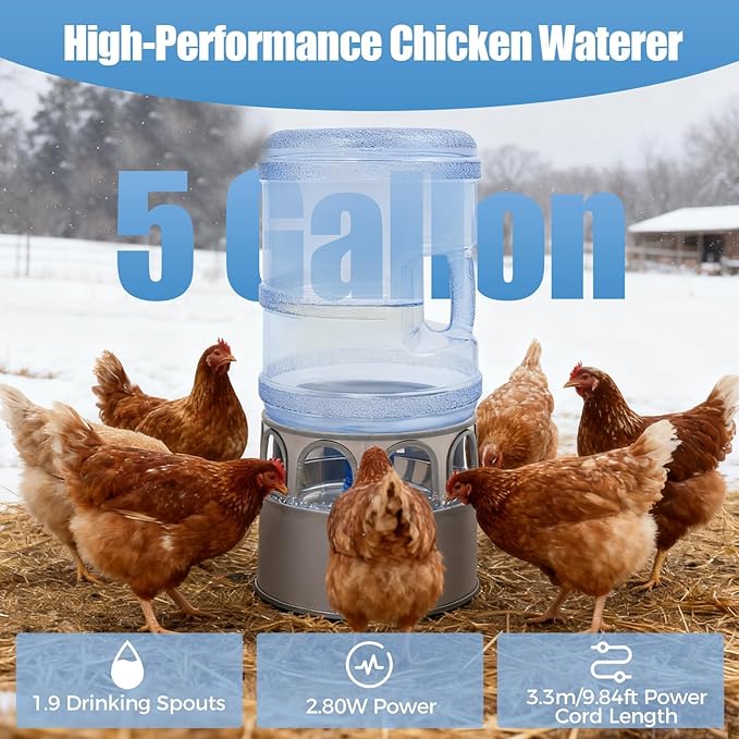 Chicken Water Heater, 5 Gallon Heated Chicken Waterer, Stainless Steel Heated Waterer for Chickens with Thermostat, Freeze-Proof Design, 50W Auto-On/Off, 110V