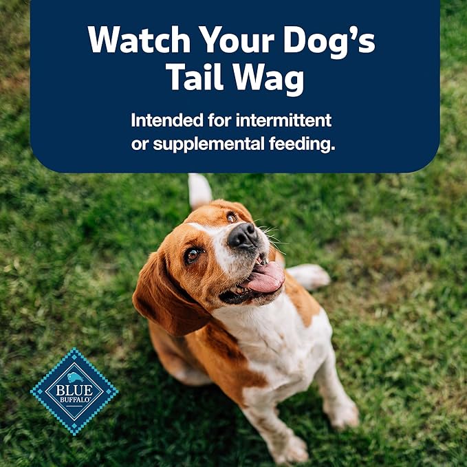 Blue Buffalo Stix Pepperoni-Style Dog Treats Made with Natural Ingredients, Beef Recipe, 13-oz Bag