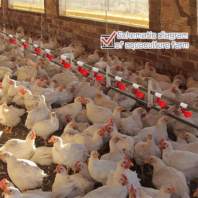 12 Pack Automatic Chicken Waterer Cups with 1/2" PVC Tee Fittings Chicken Water Cups, Chicken Water Feeder, for Chicks, Duck, Goose, Turkey. Poultry Waterer Feeder Kit