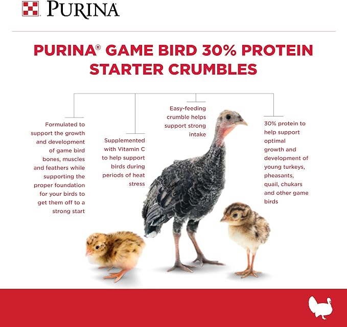 Purina® | Game Bird + Turkey 30% Protein Starter Feed | 40 Pound (40 lb.) Bag