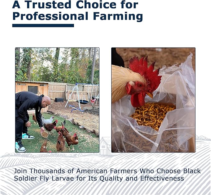 Chicken Feed Dried Black Soldier Fly Larvae, 1LB Natural Poultry Treat, 85X Calcium vs Mealworms for Laying & Molting Hens, Nutrient-Rich Feed for Ducks & Wild Birds, Reptiles