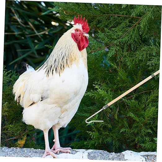 Kisangel Heavy Duty Poultry Catcher Hook for Efficient Chicken Handling Versatile Tool for Farms and Animal Capture Animal Safety Design