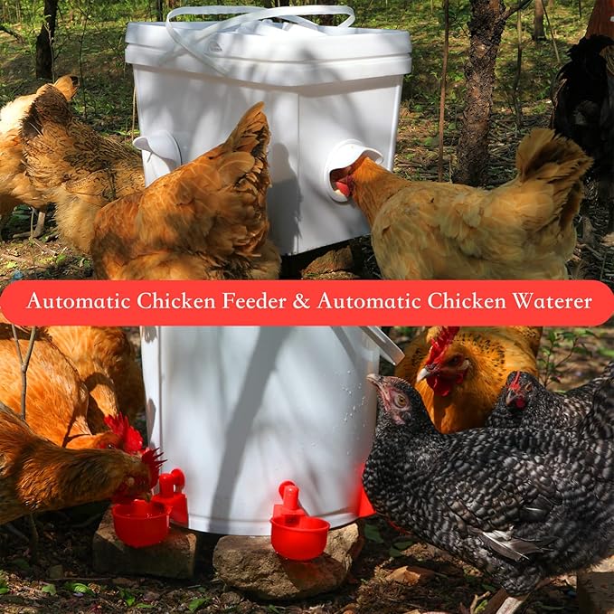 Chicken Feeder No Waste Automatic Poultry Feeder Ports Kit and Waterer Set