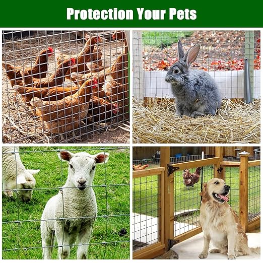 19 Gauge Hardware Cloth 72In x 100Ft – 1/2 Inch Galvanized Welded Wire Mesh | Chicken Wire Fence for Garden Farm Yard, Poultry Netting & Animal Plant Protection – Silver