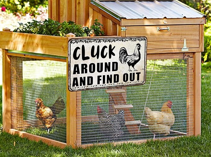 Funny Chicken Signs Chicken Coop Accessories Rooster Decorations Chicken Gifts Stuff For Farmhouse Garden Decor 8 x 12 Inch