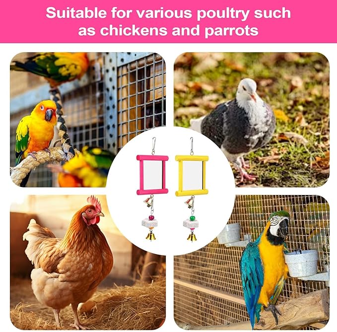 Chicken Mirror Swing - Chicken Toy Mirror |Chicken Mirror Beak Grinding Enrichment, Chicken Coop Mirror Swing, Coop Enrichment Mirror Pecking Toy, Safe Roosters Poultry Entertainment Accessories for Y