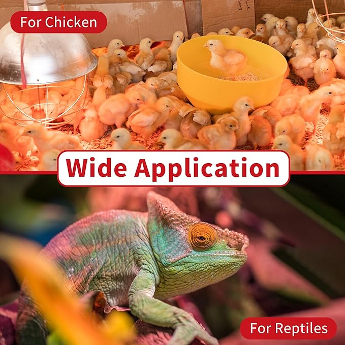 250 Watt Red Heat Lamp Bulbs, Chicken Infrared Incandescent Light Bulb, Brooder Heat Lamps for Chickens, Chicks, Reptile, Pets, Coop, Poultry, Food, Bathroom, Ceiling, E26 Base - 2 Pack