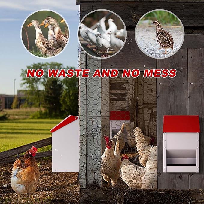 Automatic Metal Chicken Feeder Galvanized Poultry Feeder with Lid Outdoor Wall Mount Chicken Food Dispenser Gravity Fed Chicken Feeder Weatherproof No Waste Quail Duck Feeder (10LBS)