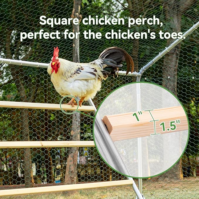 PETSFIT Square Chicken Roosting Perch, Perfect for Backyard Poultry, Chickens Perch for Coop, Easy to Assemble&Clean, Farm Chicken Toys (55" L x 40" W)