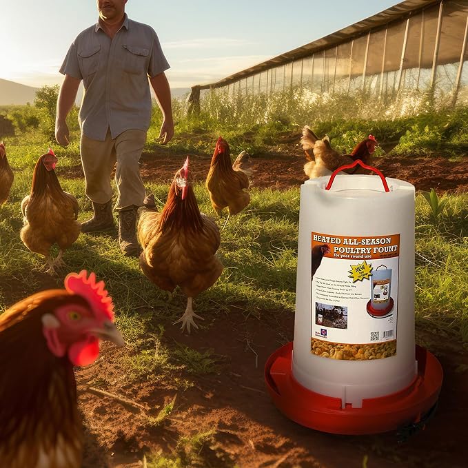 Farm Innovators Heated Chicken Waterer, Hanging Poultry Water Fountain, 3 Gallon, Red - Plastic Water Dispenser with Heater for Chicks, Chickens, and Livestock