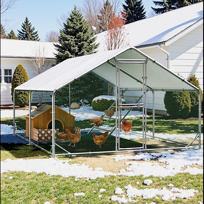 Large Walk-in Metal Chicken Coop, 10×6.5 FT Chicken Run with UV Cover, Split Feeding Door & Roosting Perch, for 6-10 Chickens