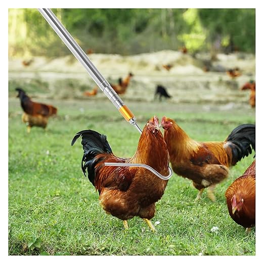 4 Pcs Poultry Catcher Kit, Stainless Steel Chicken Grabber Pole & Net for Birds with Alloy Handle Fishing