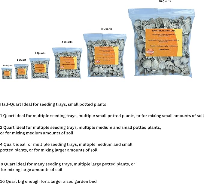 Versatile Shells for Outdoor Landscaping - Ideal Decorative Rocks for Plants Indoor & Outdoor, White Shell, Landscaping Stones. 1 Quart