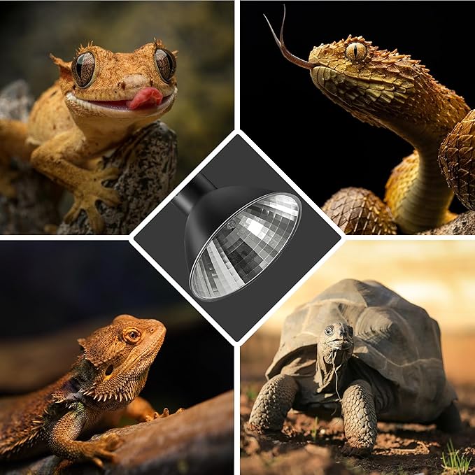 Briignite Reptile Heat Lamp 50W G9 Halogen Heat Bulb & Dome Reptile Light Fixture, Aluminum Reflector, UVA Basking Light for Reptiles, Dimmable Heat Lamp for Chicken Turtle Snake Gecko Lizard