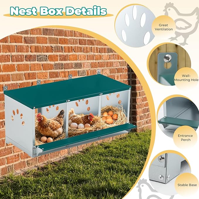 Chicken Nesting Box for Laying Eggs, Metal Chicken Laying Boxes Wall Mountable, Easy Egg Collection Roll Away Nesting Boxes Chicken, Chicken Coop Nesting Boxes for Hens, 3 Compartments