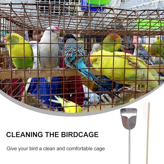 Angoily 6pcs Bird Cage Cleaning Tools Set Pet Parrot Brush and Shovel for Efficient Cage Maintenance Random Bird Poop Scraper Brush
