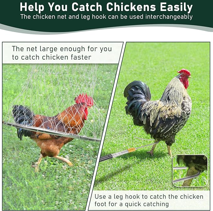 Flehomo Chicken Catcher Set, Chicken Catching Net with Leg Hook & Telescopic Pole, Adjustable from 32.5" to 74", 16 x 24 Inch Net, Chicken Coop Accessories Suitable for Outdoor Poultry Catching