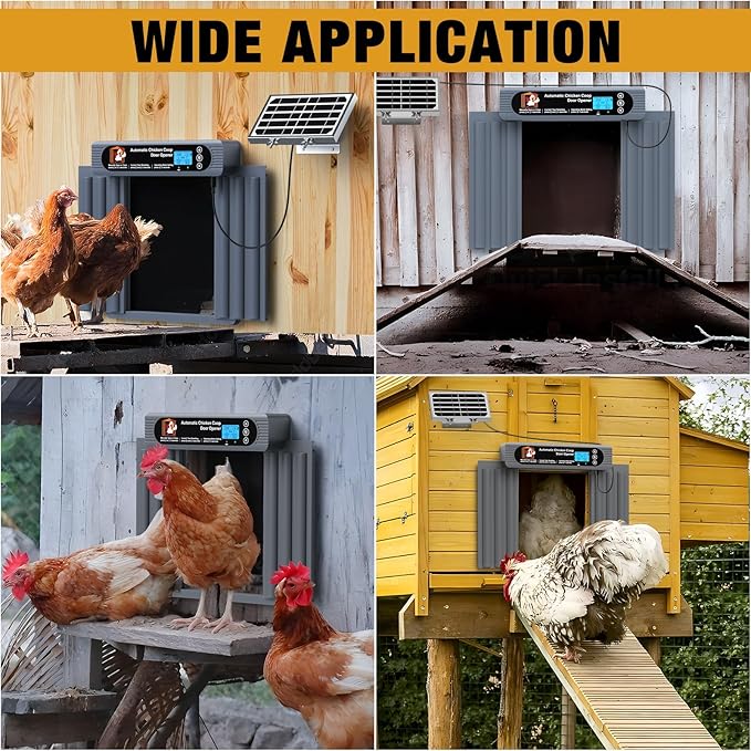 Automatic Chicken Coop Door, Extra Large Size, Anti-Pinch Design,Programmable Timer & Light Sensor Modes, Large LCD Display, Solar Powered Auto Chicken Door Opener with Remote Control (50m)
