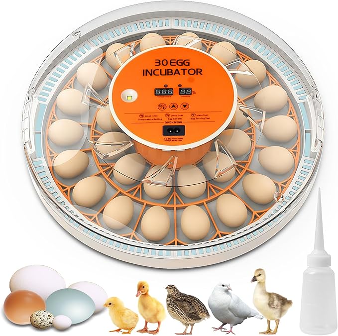 30 Egg Incubator with Automatic Egg Turning and Humidity Control,360 Degree View with Clear Window, Incubators for Hatching Eggs, Chicken, Ducks, Goose, Pigeon, Quail, Parrot