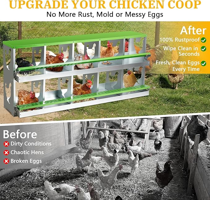 Chicken Nesting Box for Laying Eggs,Wall-Mountable Chicken Coop Nesting Boxes,10 Hole Roll Away Nesting Boxes,with Large Vented Holes,for Chickens,Ducks,Large Egg Laying Boxes (Green 10 Hole)