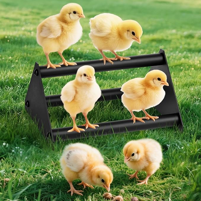 Makerfire Chicken Perch for Coop, Metal Roosting Bars for Chickens in Coop, Anti-Termite Chewing Baby Chick Perch Toys for Brooder, Training Perch Ladder for Large Bird, Parrot, Hens, Macaw (Small)