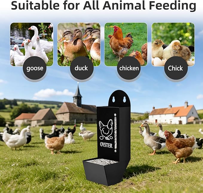 Chicken Grit and Oyster Shell Feeder, Poultry Feeder with Visual Window, No-Mess Weatherproof, Metal Hanging Gravity Chicken Feeder, Chicken Coop Accessories (Grit-Black)
