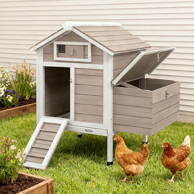 Chicken Coop Chicken House Outdoor with 2 Nesting Box, Wooden Small Chicken Coop Hen House with Removable Trays, Ramp for 1-2 Chickens (32" L x 23.6" W x 36.6" H)
