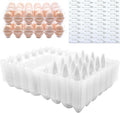 Egg Cartons 40 Packs, Clear Eco-friendly Plastic Blank Egg Cartons with Free Labels, Holds up to 24 Eggs Securely, Perfect for Family Pasture Farm Markets Display - Medium