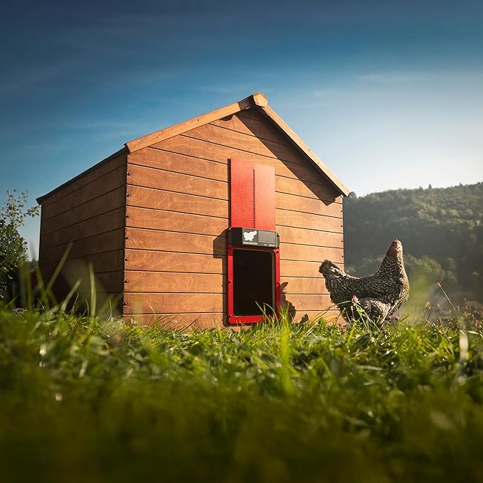 RUN-CHICKEN Door Eternal – Solar Automatic Chicken Coop Door with Built-in Solar Power & Battery Backup, Smart App & Timer Control, Weatherproof Aluminum, Predator-Proof, Easy to Install (Red)
