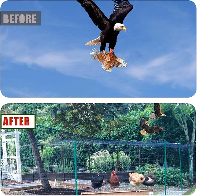CITOOTY Bird Netting for Chicken Coop Run, 25x50 Ft Heavy Duty Poultry Netting with 2.4" Mesh, UV Resistant Black Net Garden Netting for Fruit Trees, Vegetable Plants, and Yard Protection