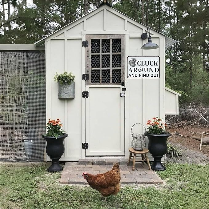 Funny Chicken Coop Signs Chicken Decor Tin Signs Chicken Signs for Home Yard Garden Farm Kitchen Farmhouse Decor (8 X 12) Inch