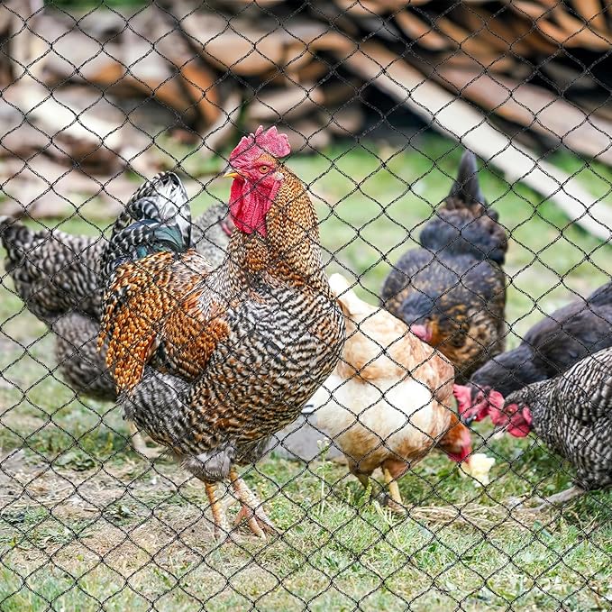 Junflying Bird Netting for Chicken Coop, 1 Inch Mesh 25x50 Ft Strong Woven Poultry Netting for Chicken Run Roof Cover, Against Bird Hawk Small Animals, Protect Strawberry Plant Fruit Tree Vegetable