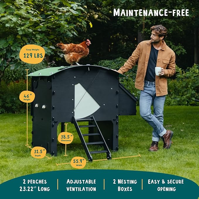 Plastic Chicken Coop 25yr Lifespan - Large Chicken Coop for 8 Chickens Or 15 Bantams | 2 Rounded Perches for Chickens & Hens to Roost | Raised Hen House for Poultry with 2 Nesting Boxes & Ramp