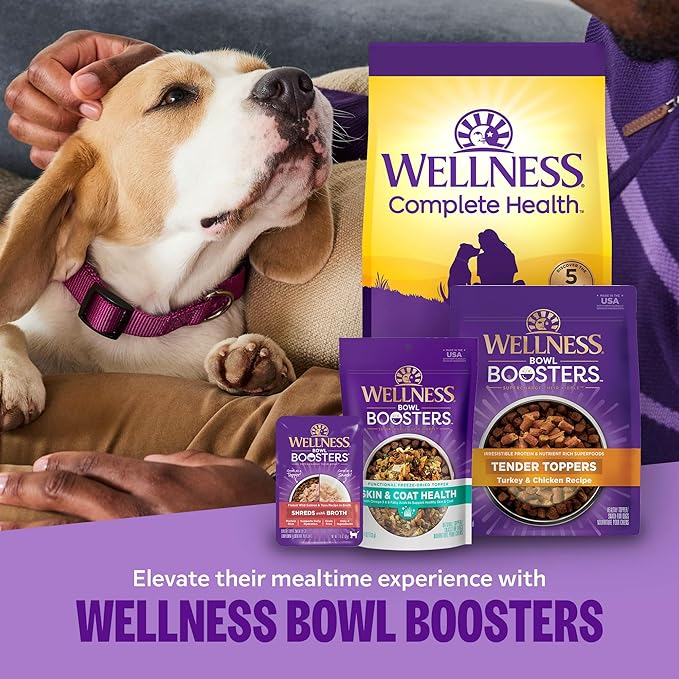 Wellness Complete Health Puppy Dry Dog Food, Wholesome Grains, Natural, Chicken, Oatmeal, & Salmon Recipe, (30-Pound Bag)