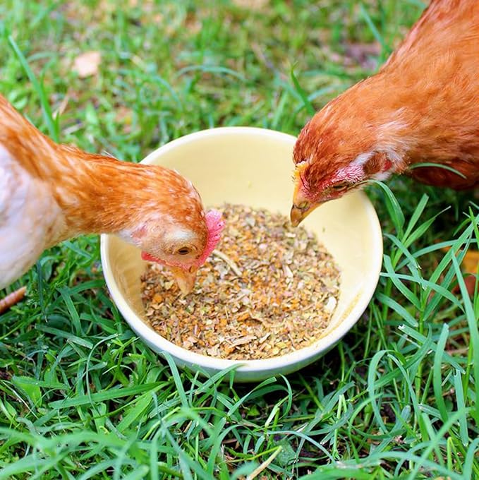 BreatheRight Chicken Coop Herbs for Hens (4 Pound)