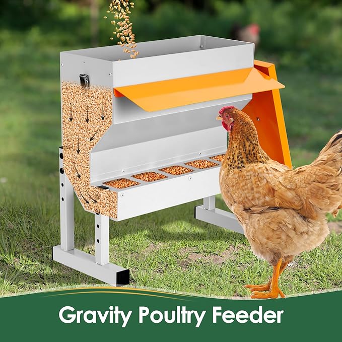Automatic Chicken Feeder 20LB no Waste Metal Duck Feeder with 5 Chicken Feeders Trough Port Wall Mount Large Hanging Poultry Feeder Dispenser with Lid Legs for Outside Chickens Coop Quail Galvanized