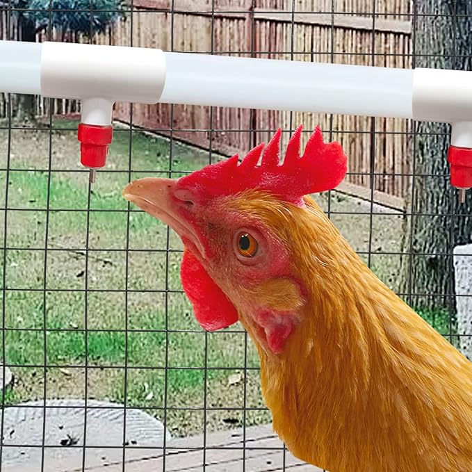 Chicken Waterer PVC Tee Fittings 1/8 FTP Threads for 1/2 Plastic Pipe Schedule 40 for Poultry Automatic Watering Nipples Auto-Fill Water Cups (10pcs, 1/8x1/2x1/2 PVC)