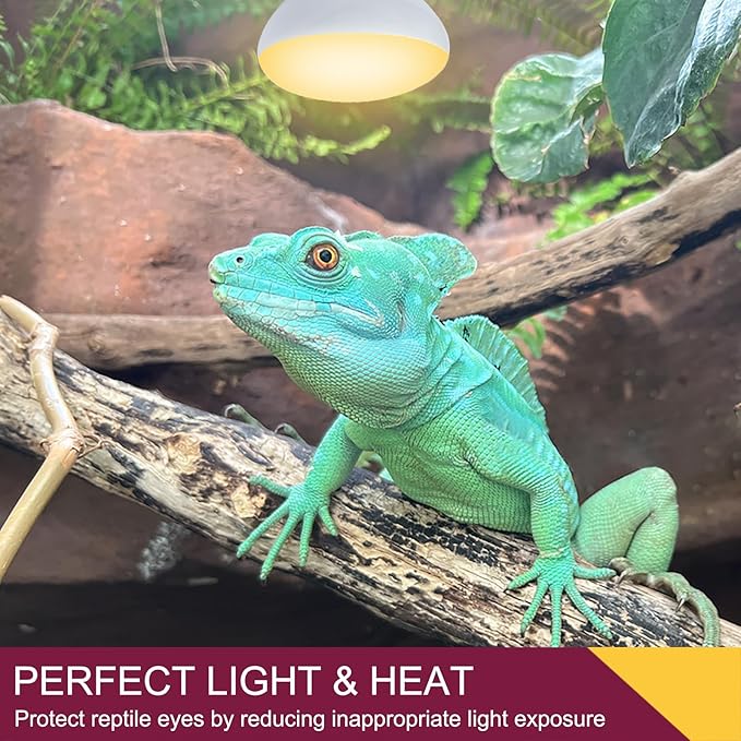 150W Reptile Heat Lamp Bulb 2 Pack,Basking Spot Lamp Bulb for Reptiles & Amphibians，Reptile Daylight Heat Bulb for Bearded Dragon, Lizard, Turtle