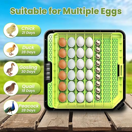 48 Egg Incubator for Hatching Eggs with Automatic Egg Turning, Temperature & Humidity Control, Egg Incubator with 360° View Window and Egg Candler, Incubator for Chicken, Duck, Quail Eggs