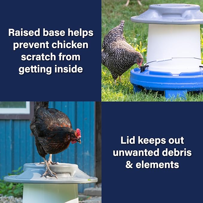 American Home Self-Filling Farmstead Chicken Drinker, Waterer, Automatic Chicken Coop Water Dispenser, 5 Gallon Capacity (Bucket Not Included), Weather-Resistant Design