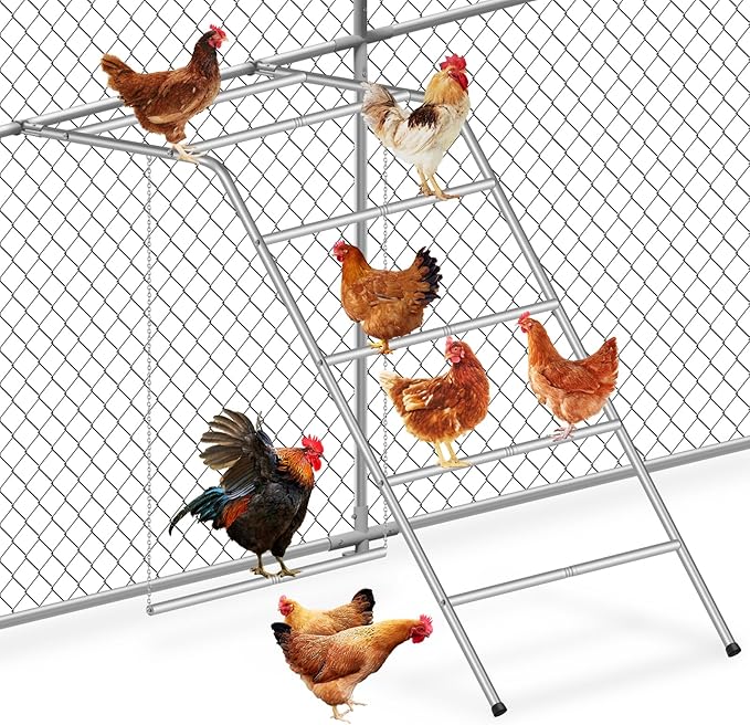 Chicken Perch for Coop with Swing,Chicken Roosting Bars with Large Ladder,Farm Chickens Toys,Perfect for Backyard Pet's Healthy & Happy,Easy to Assemble & Clean,Grey