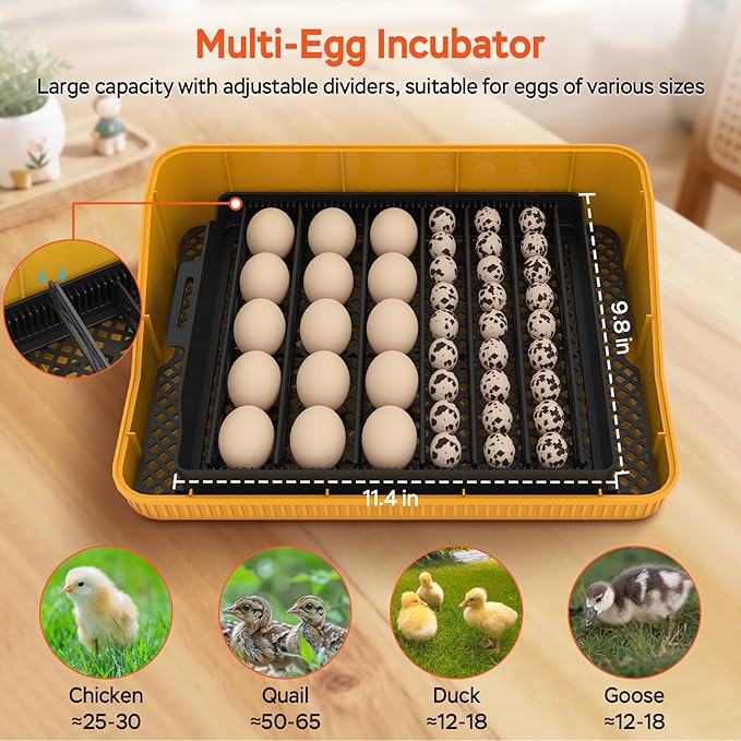 25 Eggs Incubator, Incubators for Hatching Eggs, with Automatic Egg Turner and Temperature & Humidity Control, Egg Candler, for Hatching Quail, Chicken, Duck, Goose Eggs