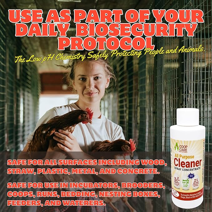 Chicken's Choice Chicken Dust Bath, 6 lb Natural Volcanic Ash Dust Bath for Chickens. Dust Mix for Healthy Chickens, Chinchillas, Small Animals. Made in The USA w/ 4 oz Coop Cleaner (Makes 32 oz)