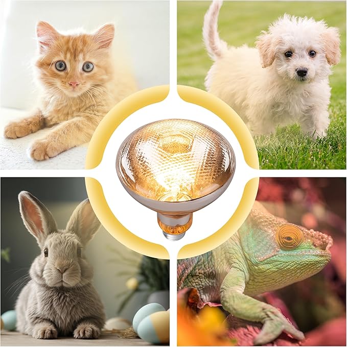 4 Pack 250 Watts Heat Lamp Bulbs for Chickens,PAR38 Clear Glass Brooder Heat Lamp, Infrared Reflector Heat Bulbs for Pets, Bathroom, Food Service