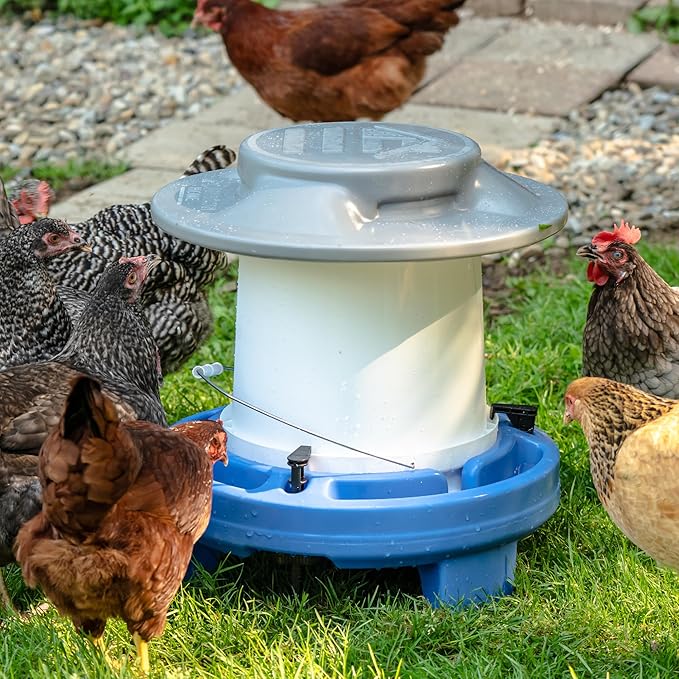 American Home Self-Filling Farmstead Chicken Drinker, Waterer, Automatic Chicken Coop Water Dispenser, 5 Gallon Capacity (Bucket Not Included), Weather-Resistant Design