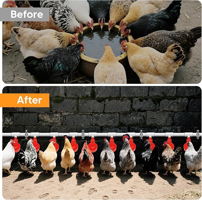 12 Pack Automatic Chicken Water Cups, Complete Set Pipeline Automatic Chicken Waterer System Poultry Waterer for Chick Duck Quail