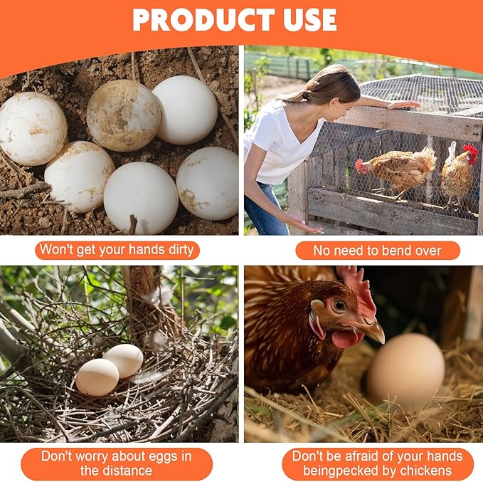 Egg Grabber for Chicken Eggs – Extendable Stainless Steel Egg Picker Tool with Non-Slip Handle,195cm/76.8inch Egg Scooper Tool for Chicken coop, Poultry Nest, and Farm Use