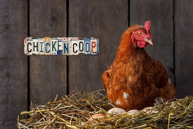 Vintage Chicken Coop Metal Tin Signs Street Signs Home Wall Decor Accessories Rural Farm 4x16 in