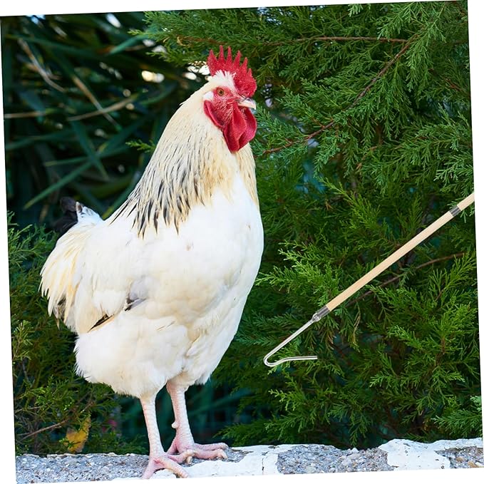 Chicken Catcher Tool for Poultry Handling Quick and Capture of Chickens Ducks and Geese Versatile Farm Equipment for Efficient Animal Management