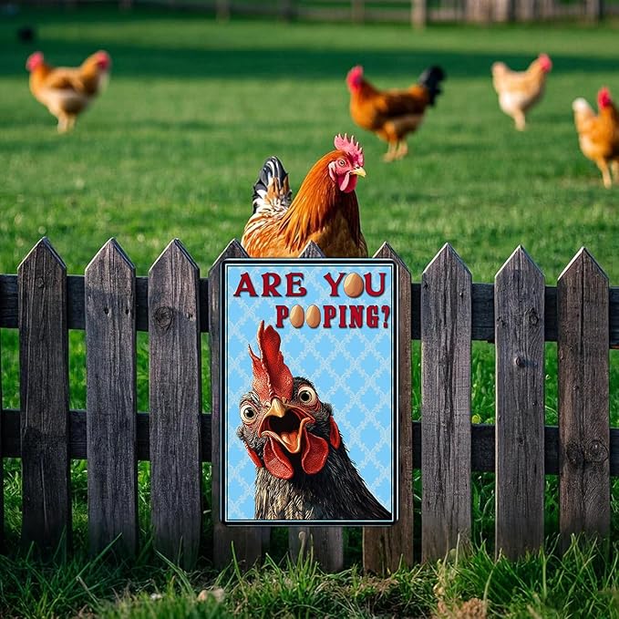 Funny Bathroom Signs Vintage Chicken Are You Pooping Metal Sign Home Chicken Toilet Wall Art Decor Humorous Restroom Kitchen Poster 12x16 Inch